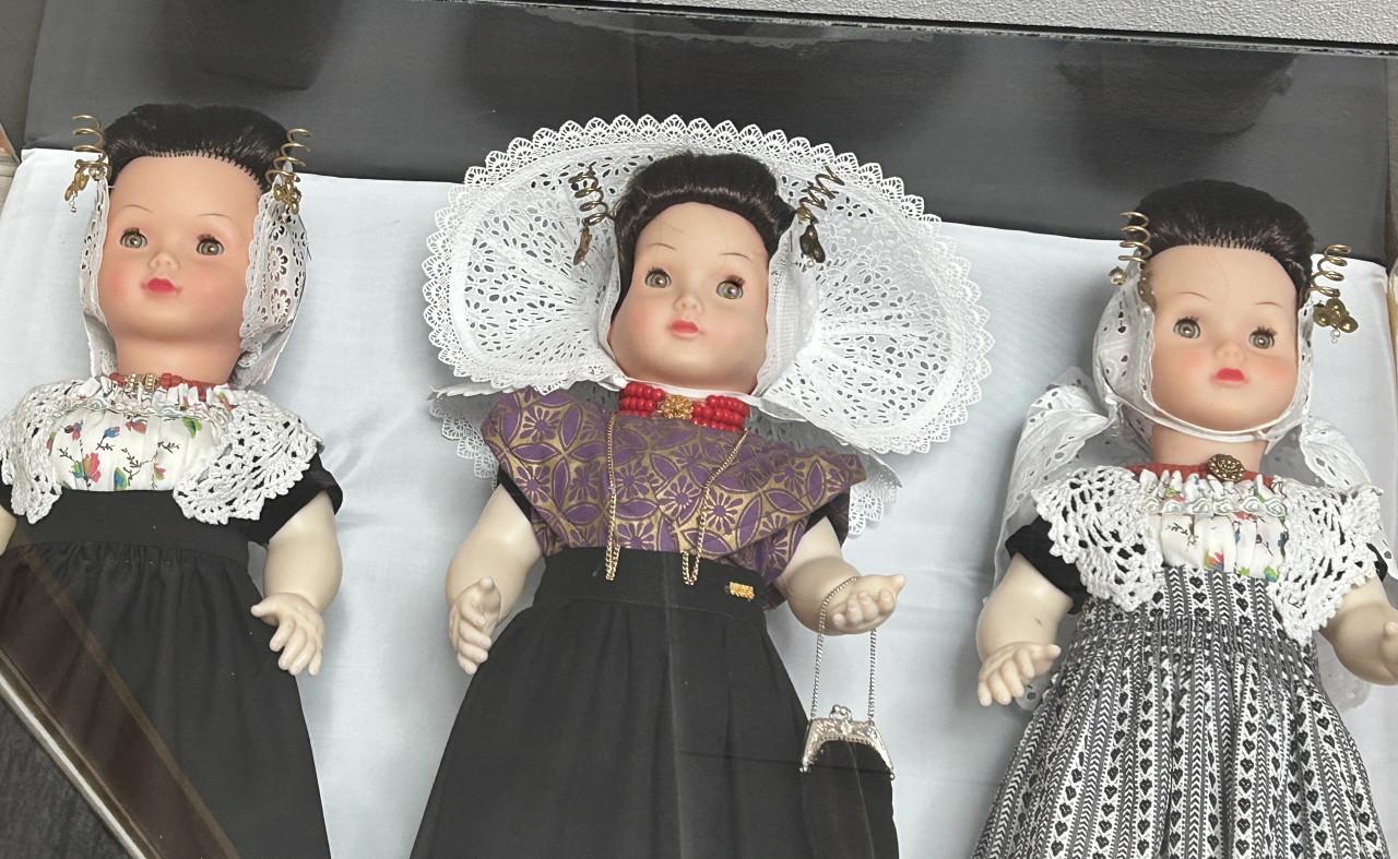 COLLECTIE BOERENPOPPEN