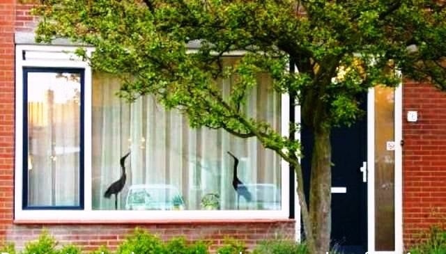 Gemeubileerde kamer per 1 juli aangeboden