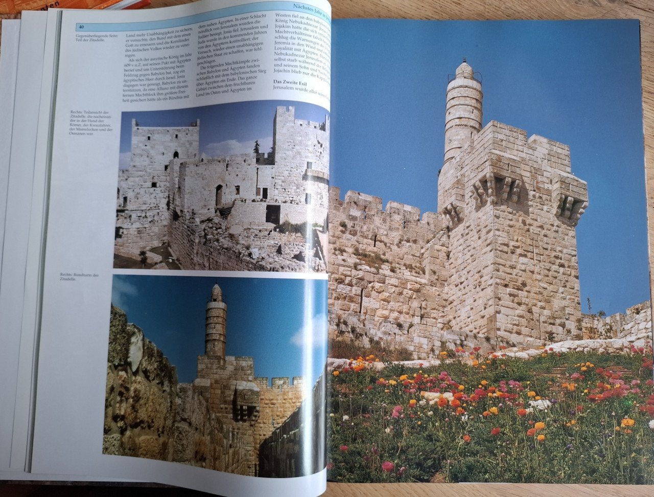 Nächstes Jahr in Jerusalem, door Hille und Max Moshe Jacoby e.a.