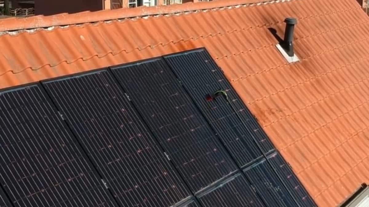 ZONNEPANEEL BORSTEL/REINIGER 9M TE HUUR