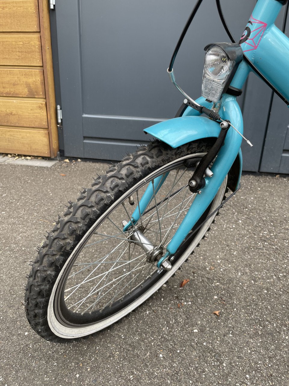Loekie Superstar 20 inch