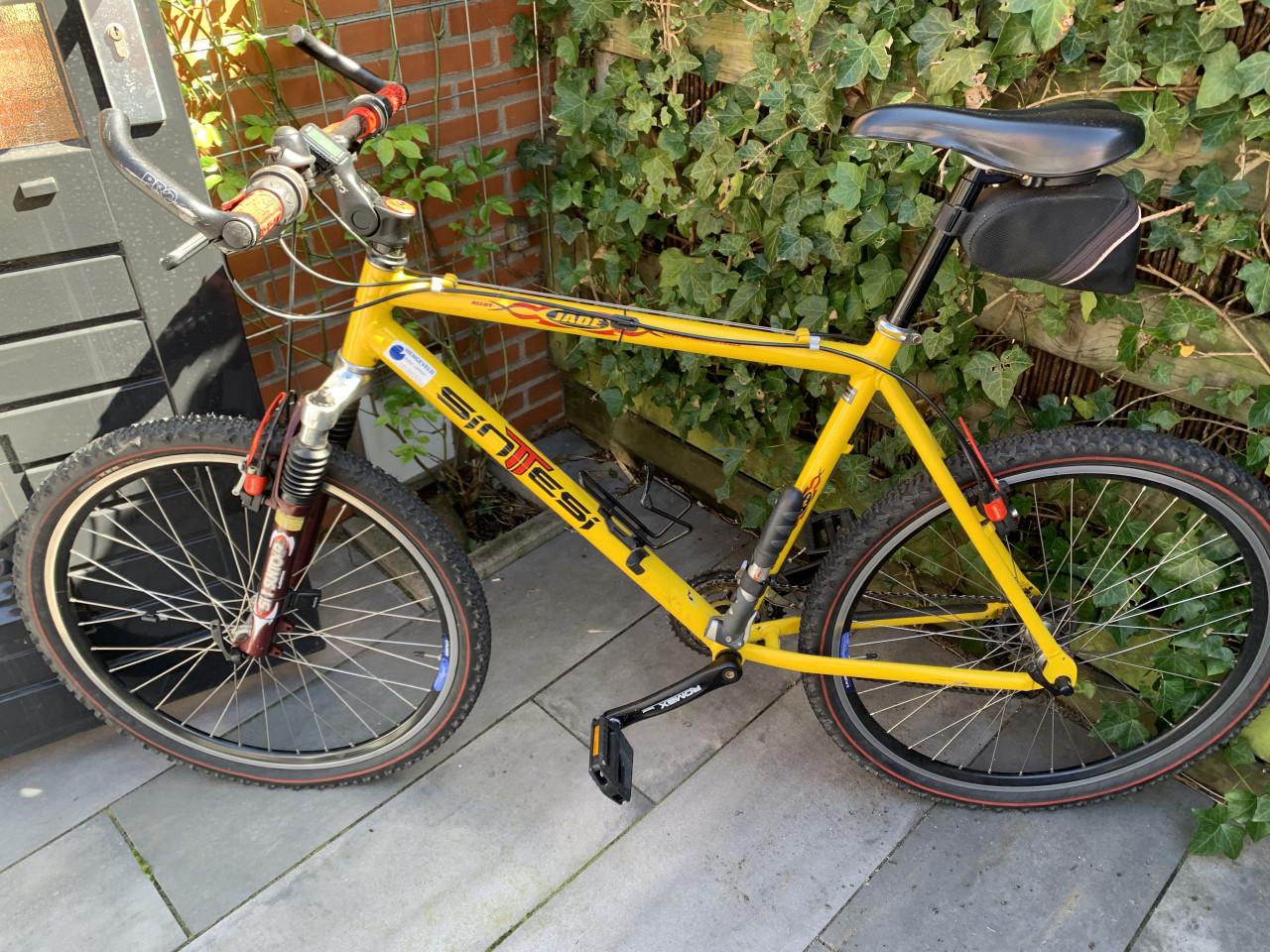 Sintesi mountainbike