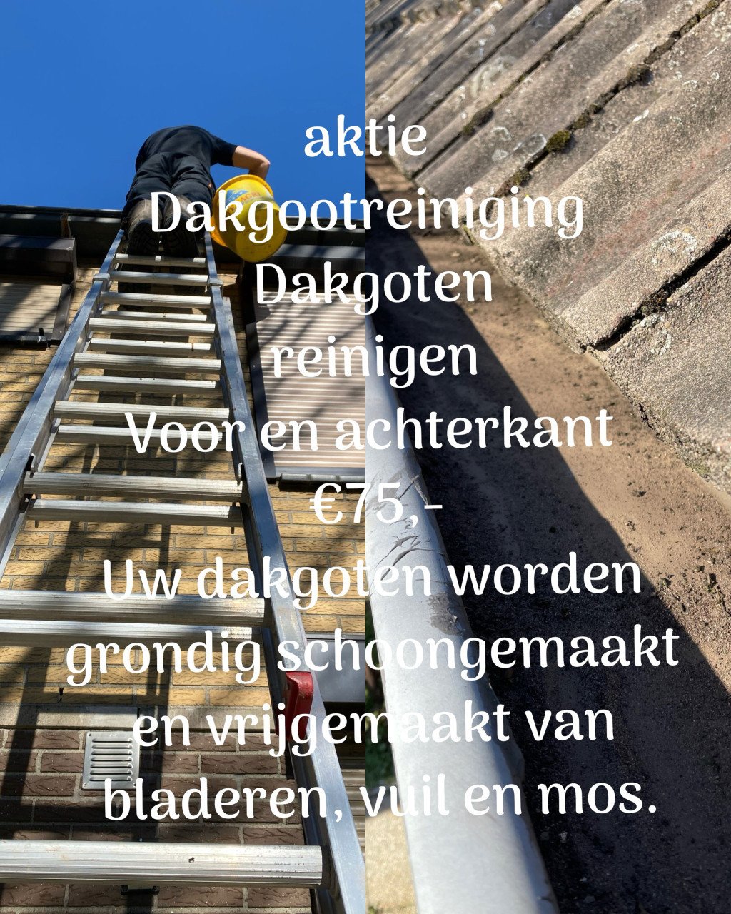 Tuinonderhoud