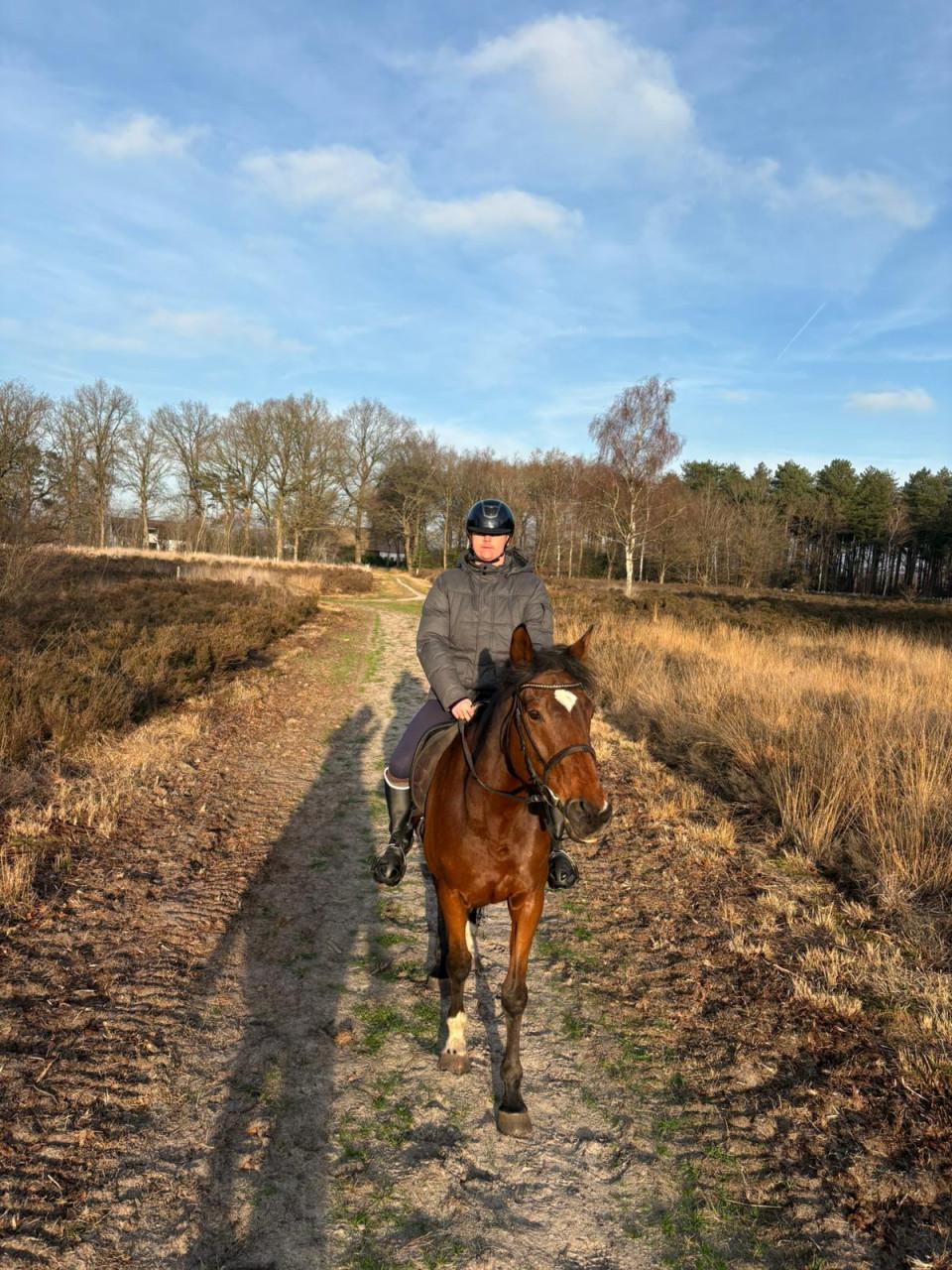 Verzorg paard gezocht