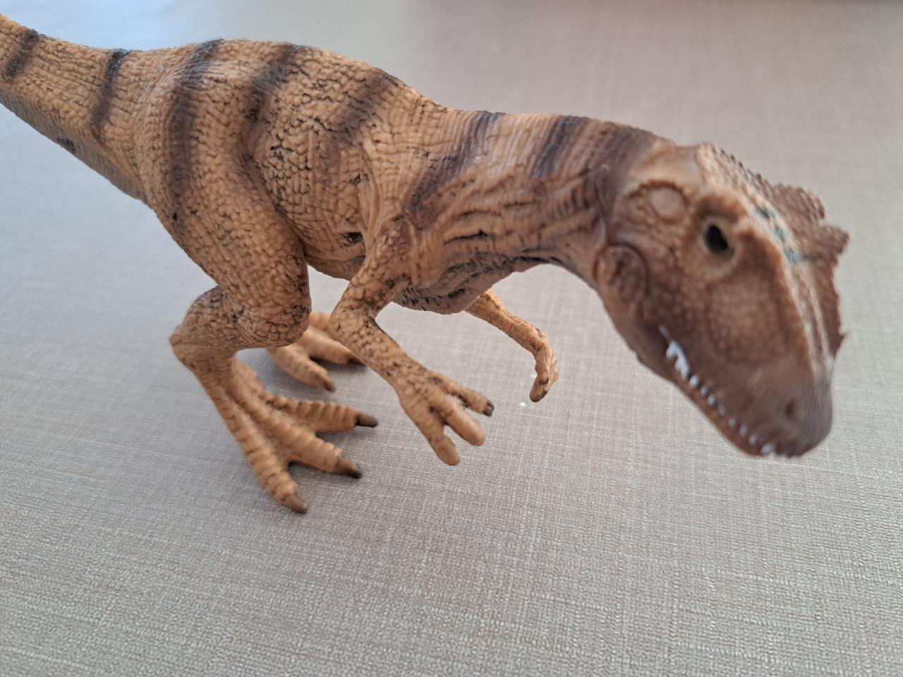 Dinosaurus Allosaurus stenen figuur