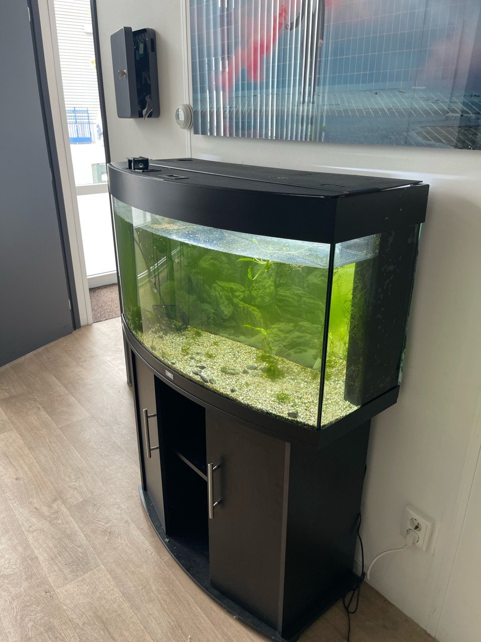 Jewel Vision 180L aquarium incl toebehoren