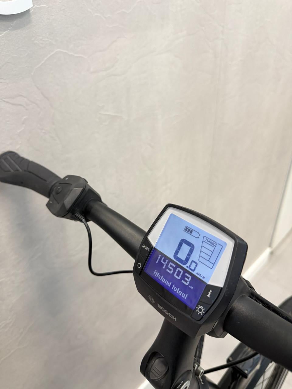 Pegasus Tecaro Evo Bosch Performance CX 50CM 500Wh Belt