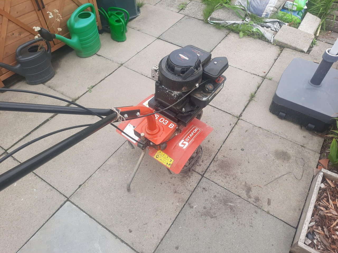 Tuinfrees