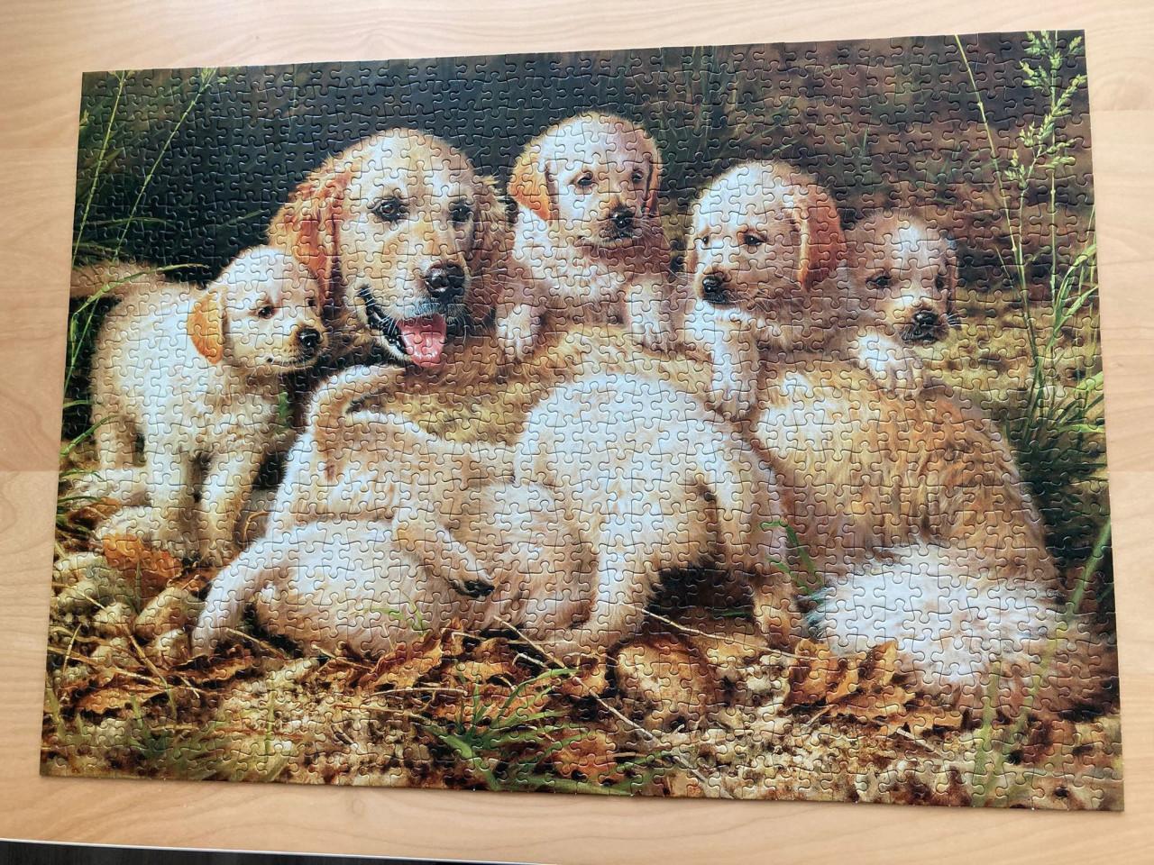 Hondenpuzzel