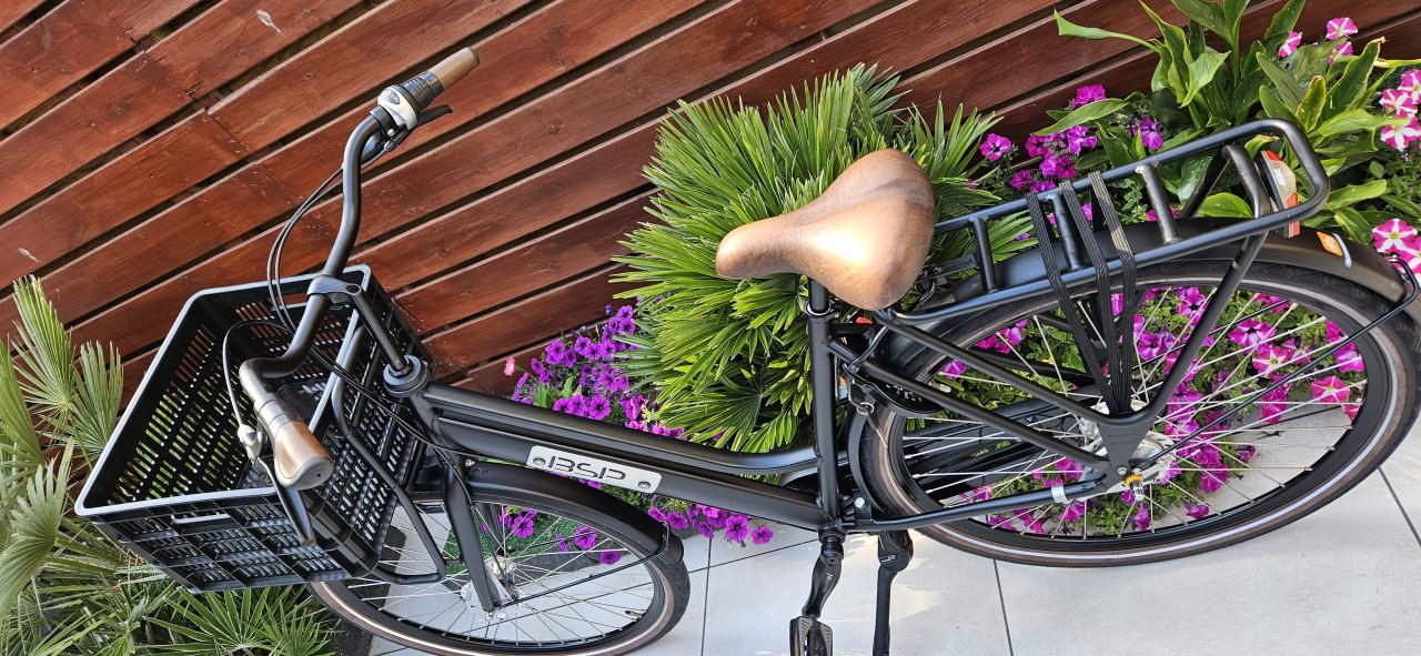 BSP Barista Damesfiets