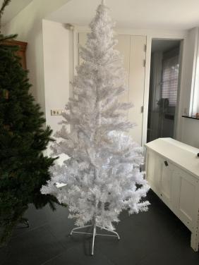 Kerstboom 1.85 m hoig