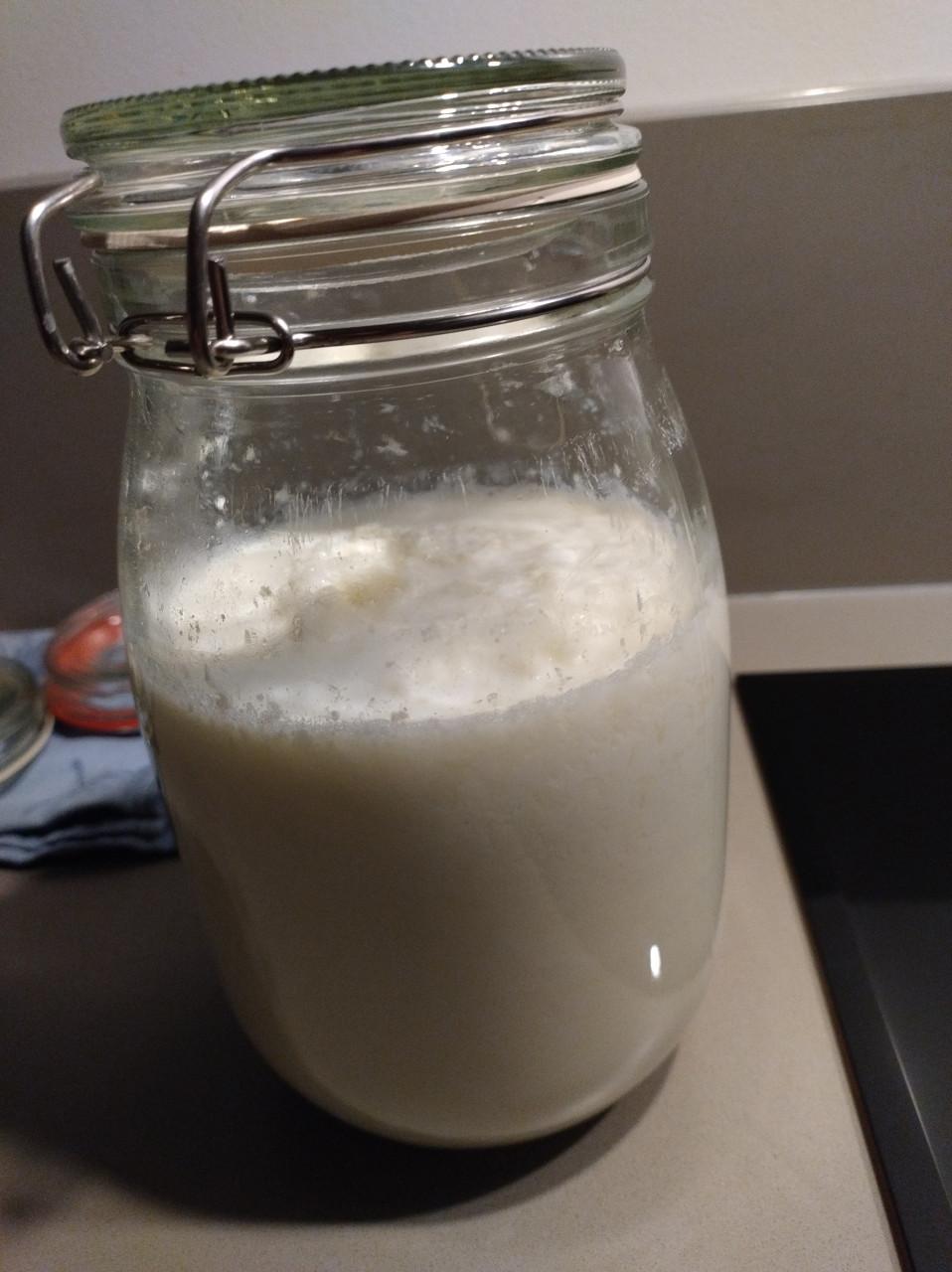 Kefirkorrels, om zelf lekkere yoghurt of karnemelk te maken!