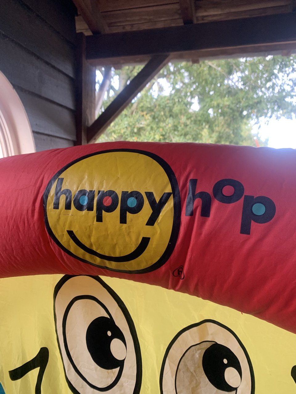 Klein springkussen Happy Hop