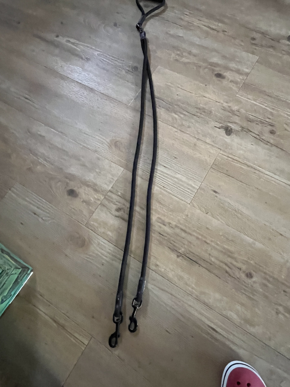 Dubbele honden riem