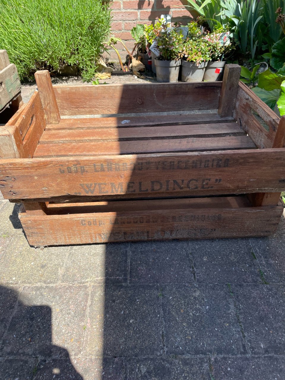 Fruitkistjes
