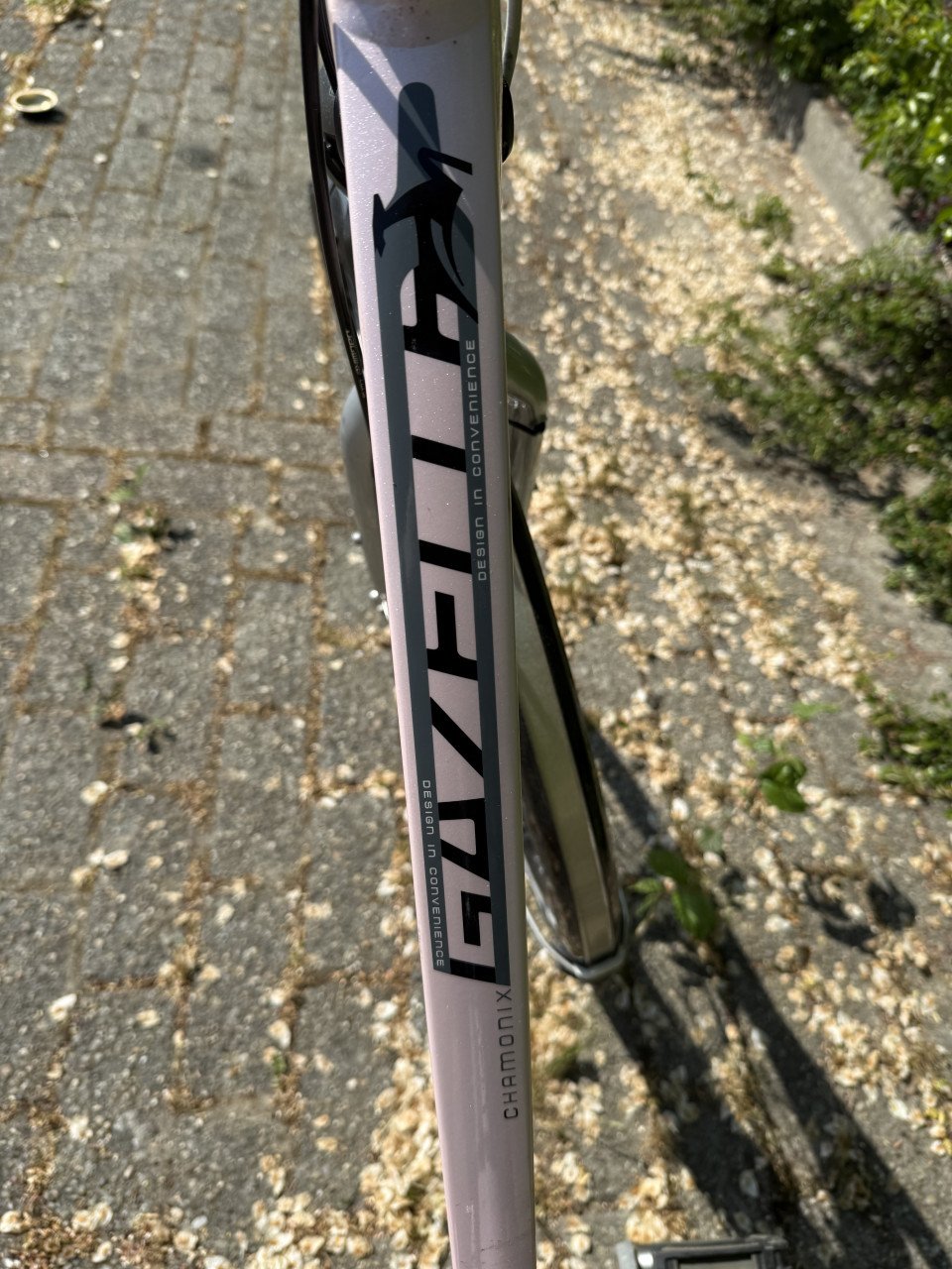 Nette Gazelle Chamonix