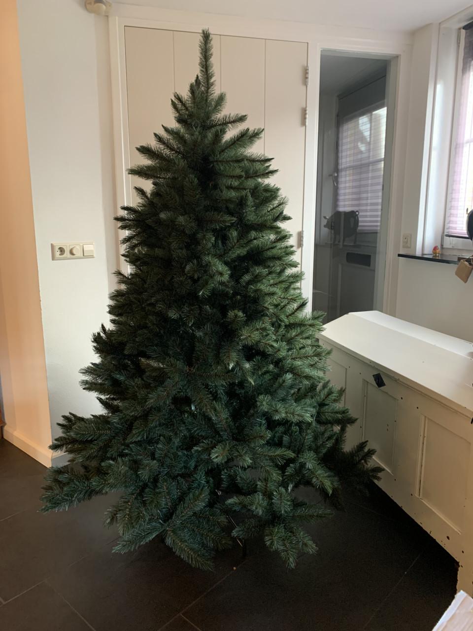 Kerstboom 1.85 m hoog Intratuin 1 jaar oud!