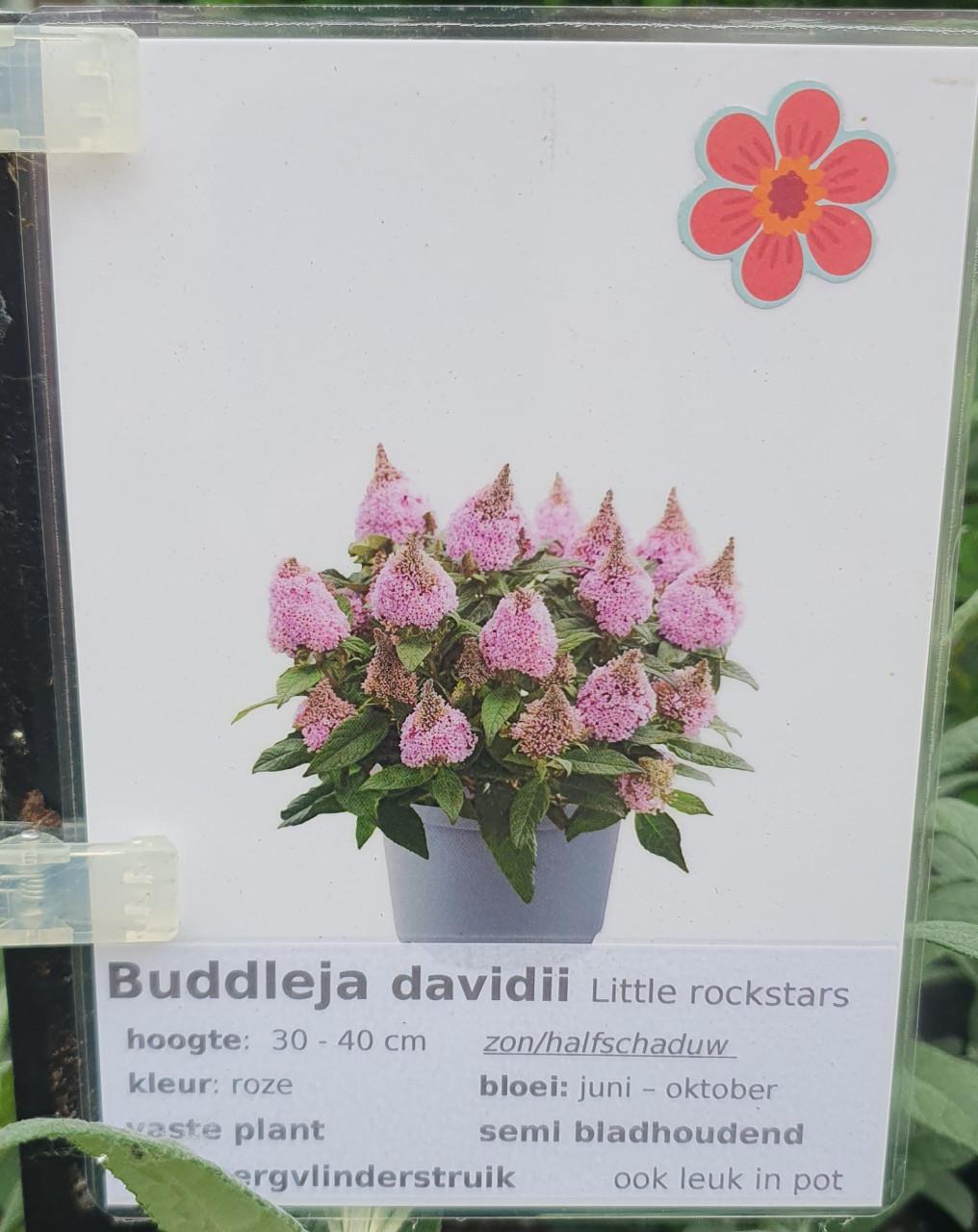 TUINPLANTEN Oudelande