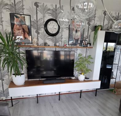 Wandmeubel, eettafel, salontafel