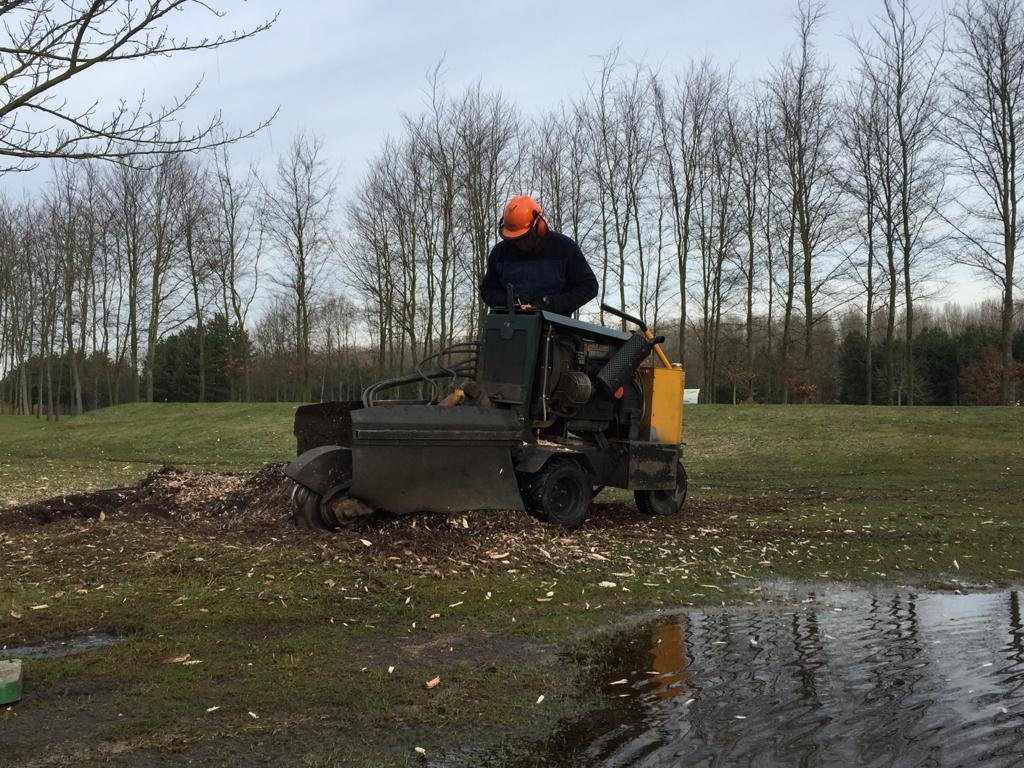 Een boomstronk in uw tuin laten verwijderen?