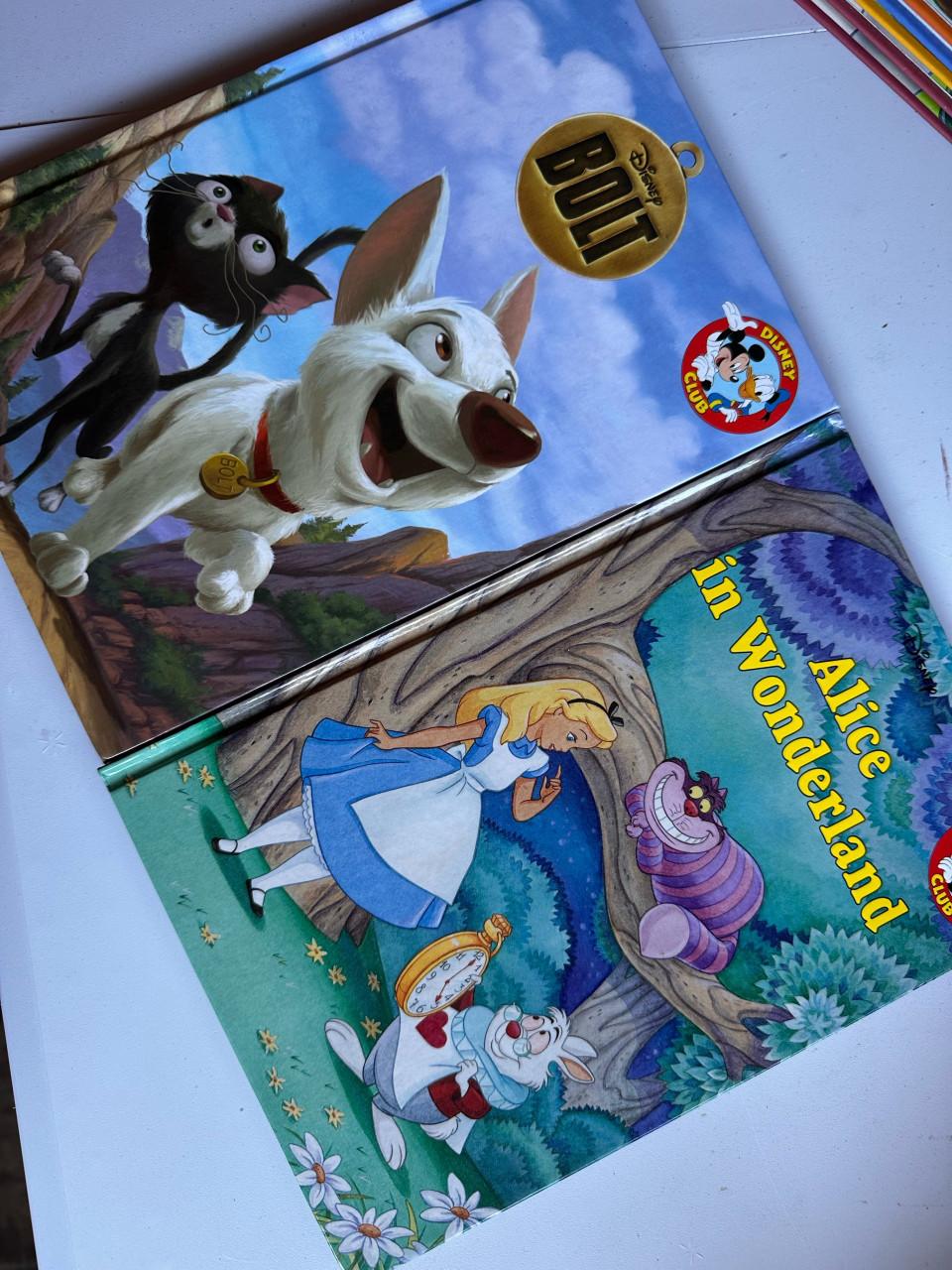 Grote collectie disney club boeken