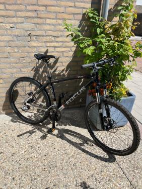 Focus MTB
