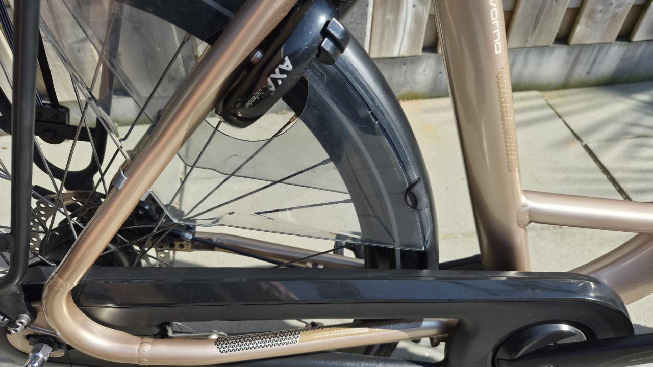 Stella Livorno Superior