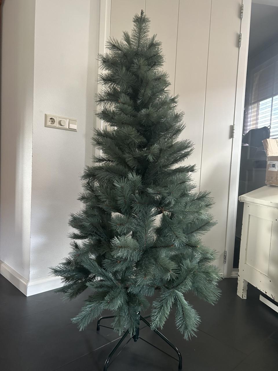 Kerstboom