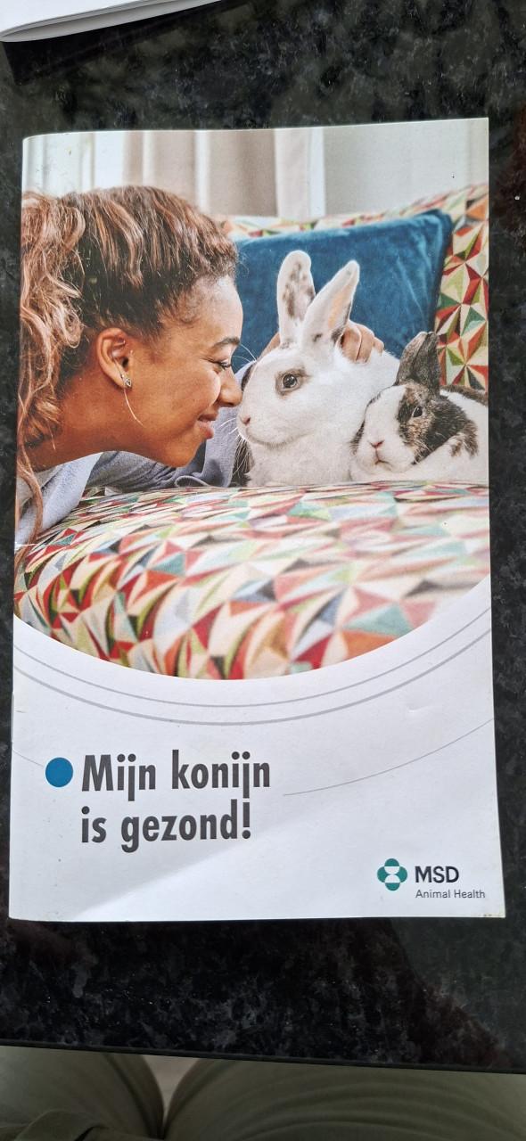 Konijntjes
