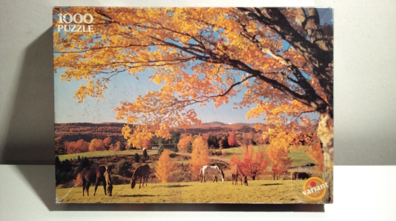 50 puzzels, 1000 stukjes per puzzel