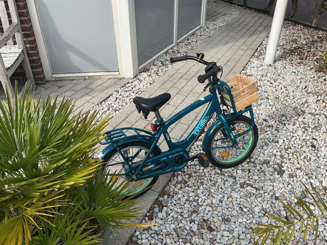 Te Koop,stoere kleuter fiets.