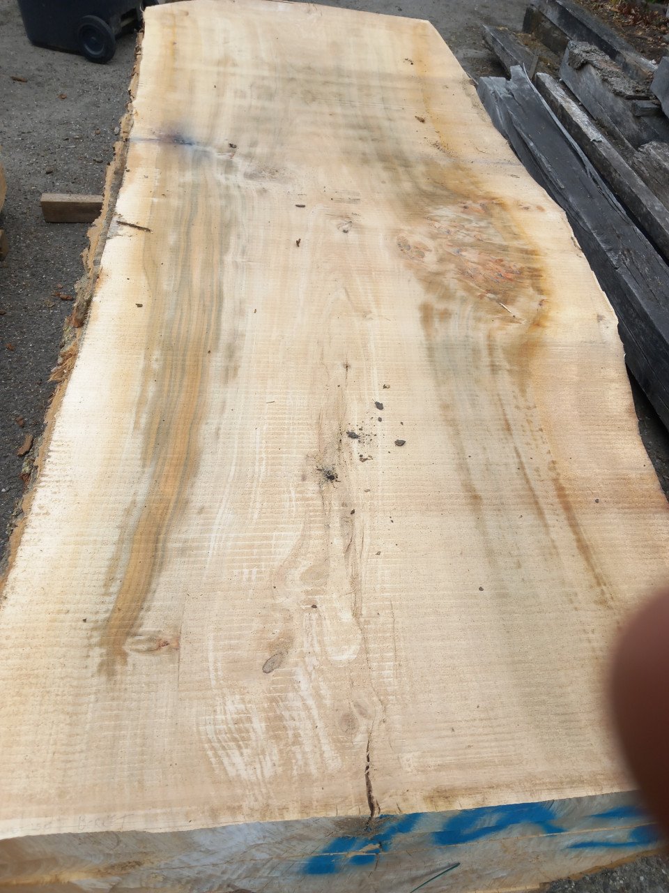 Boomstamtafels tafelbladen wandplanken salontafel bartafel in boomstamvorm