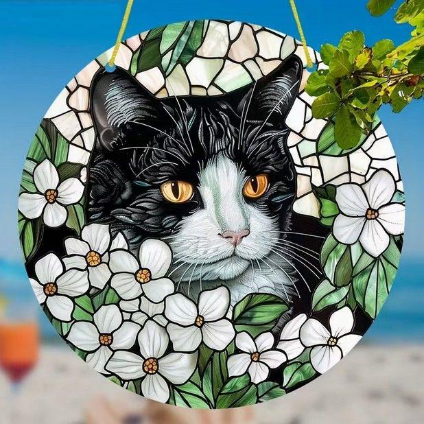 Raamhanger kat - poes