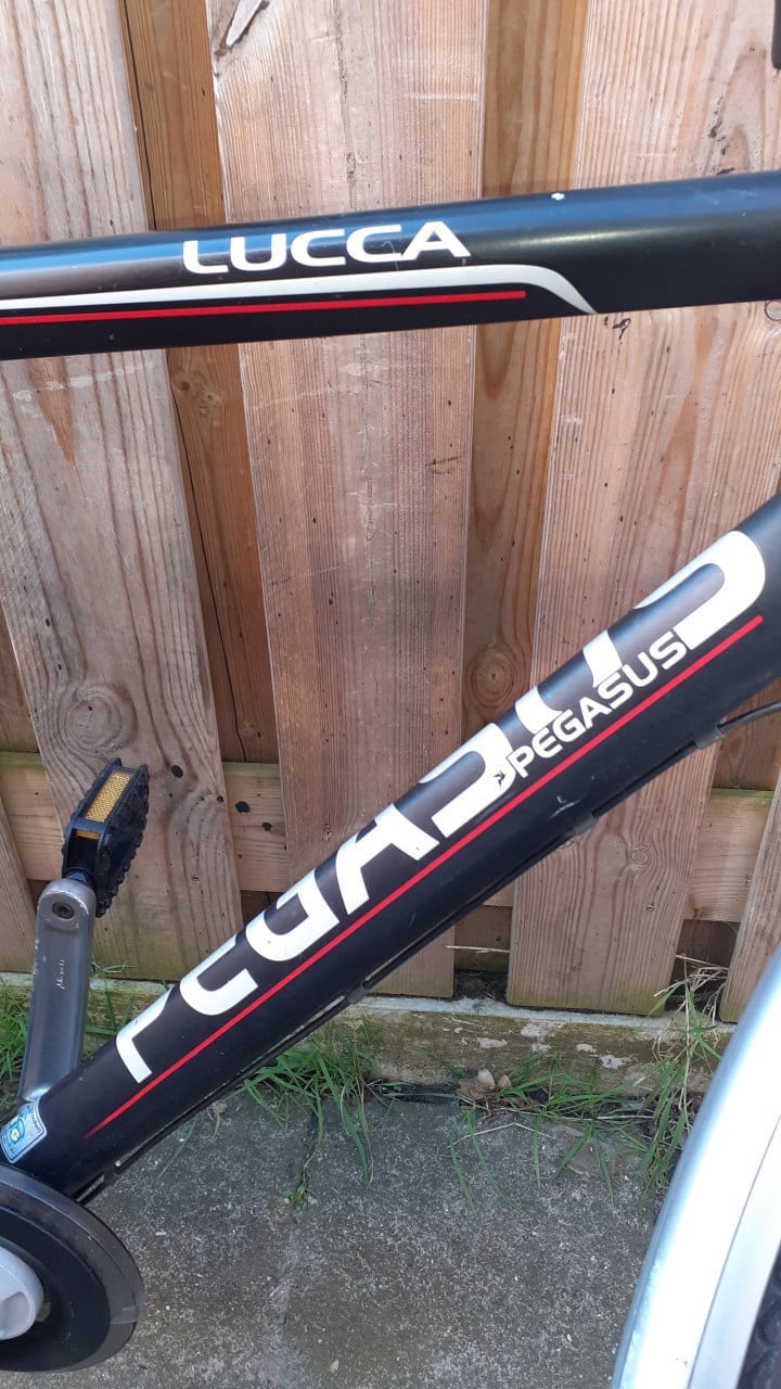 2 x Heren sportfiets 28inch ** PEGASUS ** zwart & Goud kleur