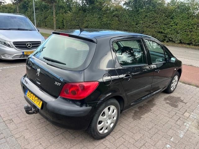 Peugeot 307 1.6-16v xs