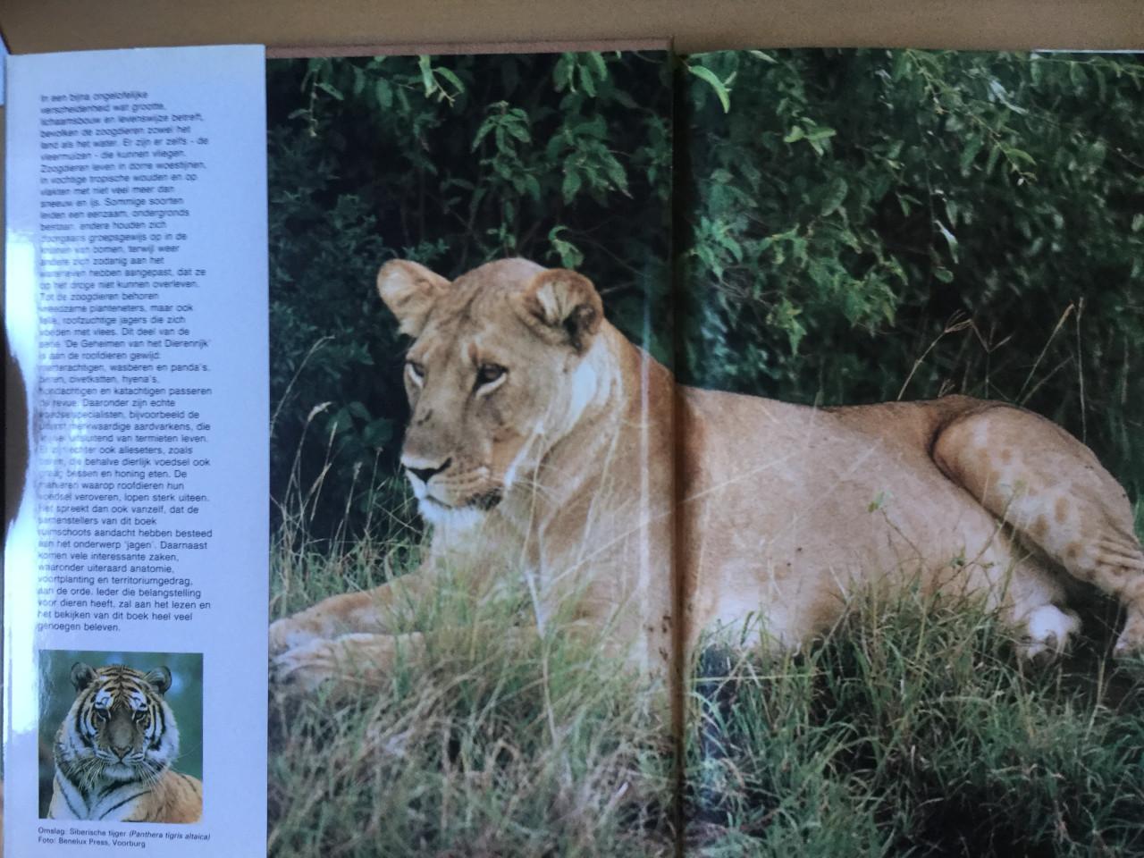 De geheimen van het dierenrijk Zoogdieren 1