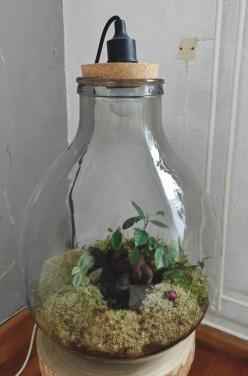 Terrarium voor planten