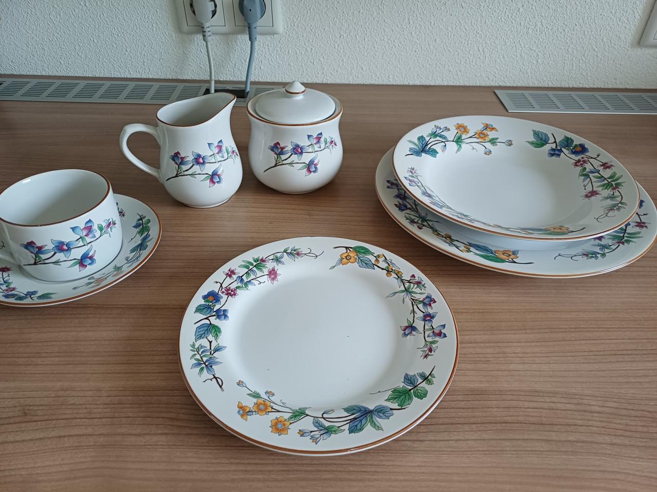 Servies 6 delig