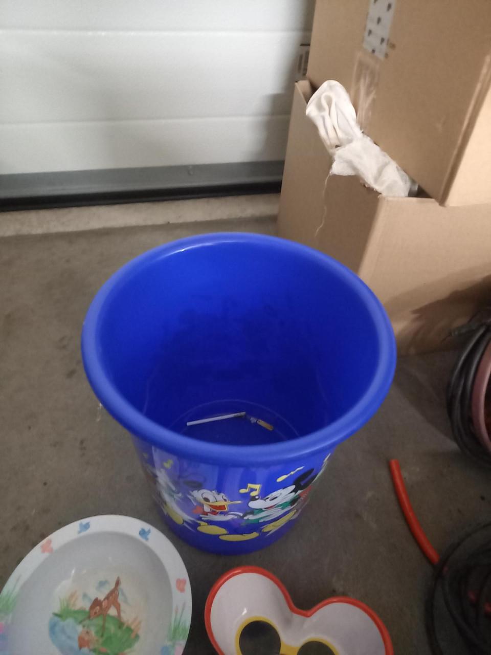 Kinder prullenbak Disney met deksel