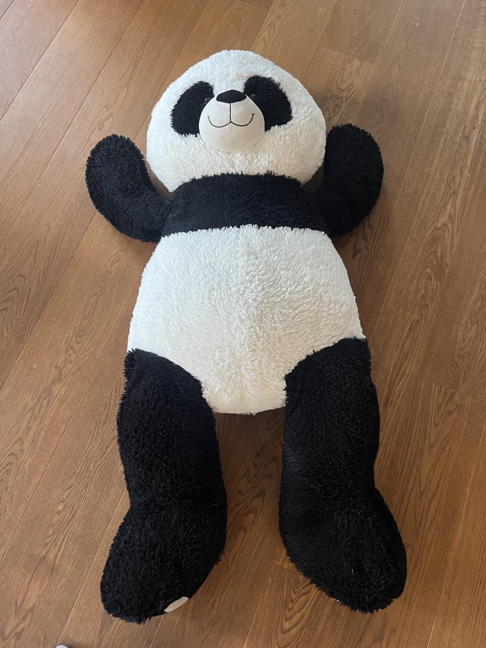 Grote panda beer knuffel