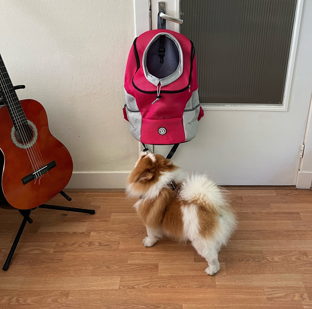 Rugzak hond 7-12 kg
