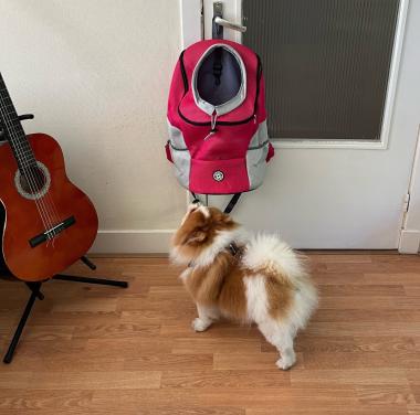 Rugzak hond 7-12 kg