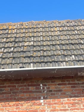 Dakpannen vlakke mulden