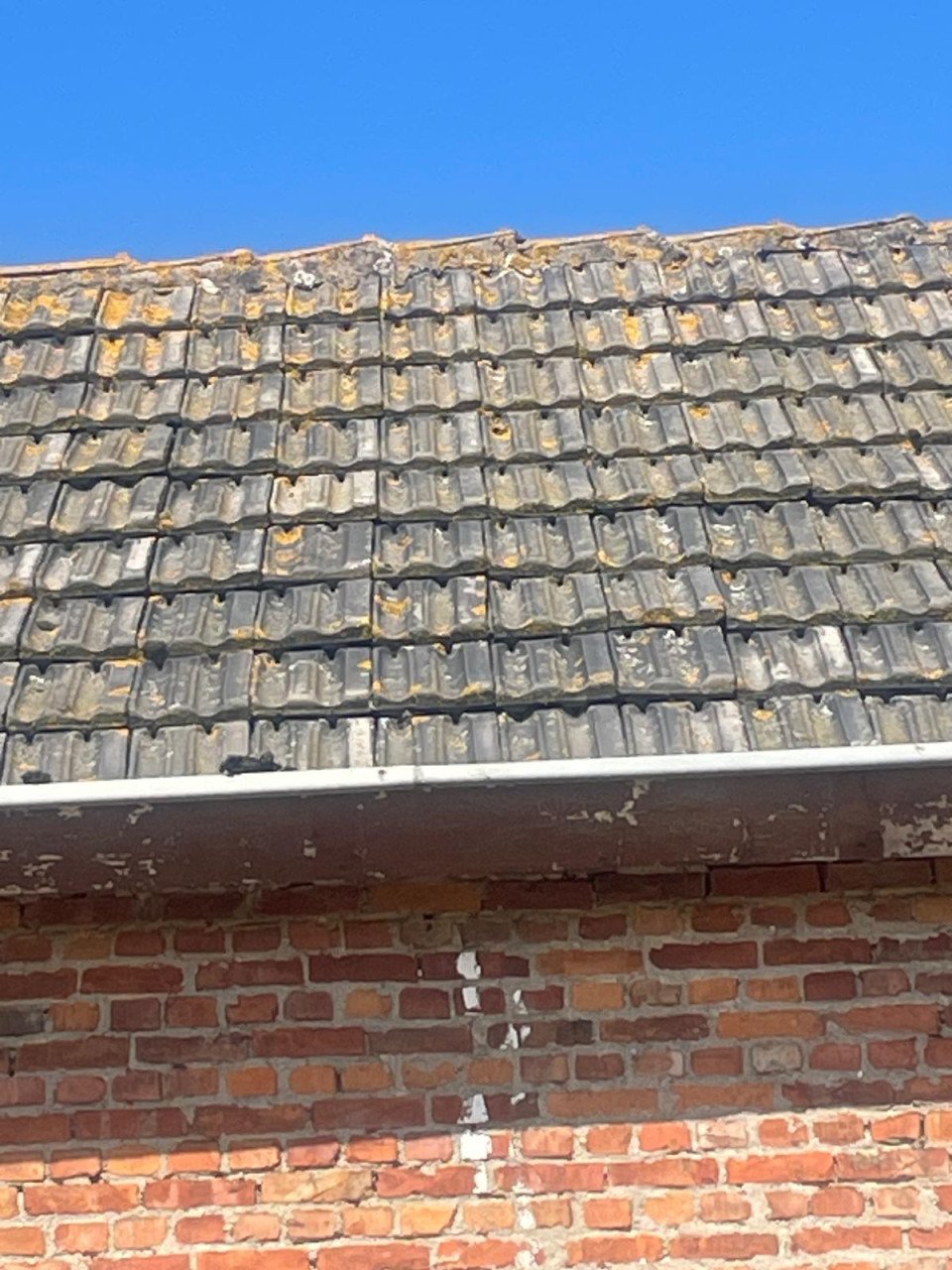 Dakpannen vlakke mulden