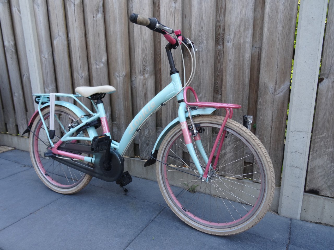Loekie Prinses 22 inch meisjesfiets 3 versnellingen