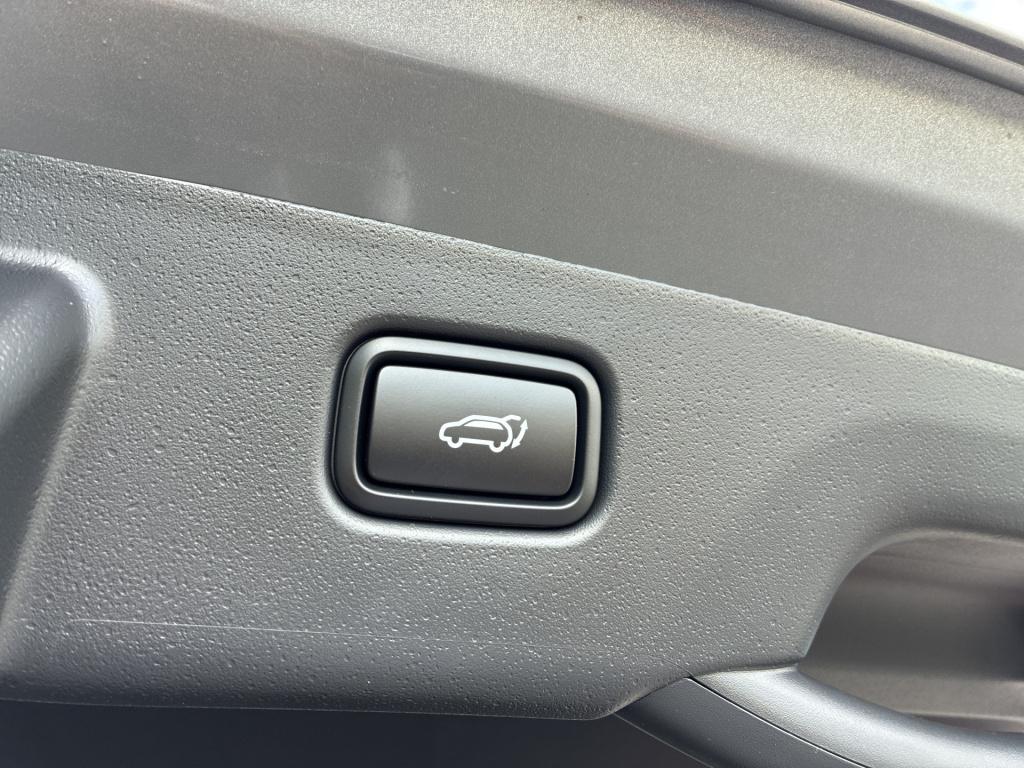 Kia Niro 1.6 gdi hybrid executiveline | schuif- kanteldak | electrische sto