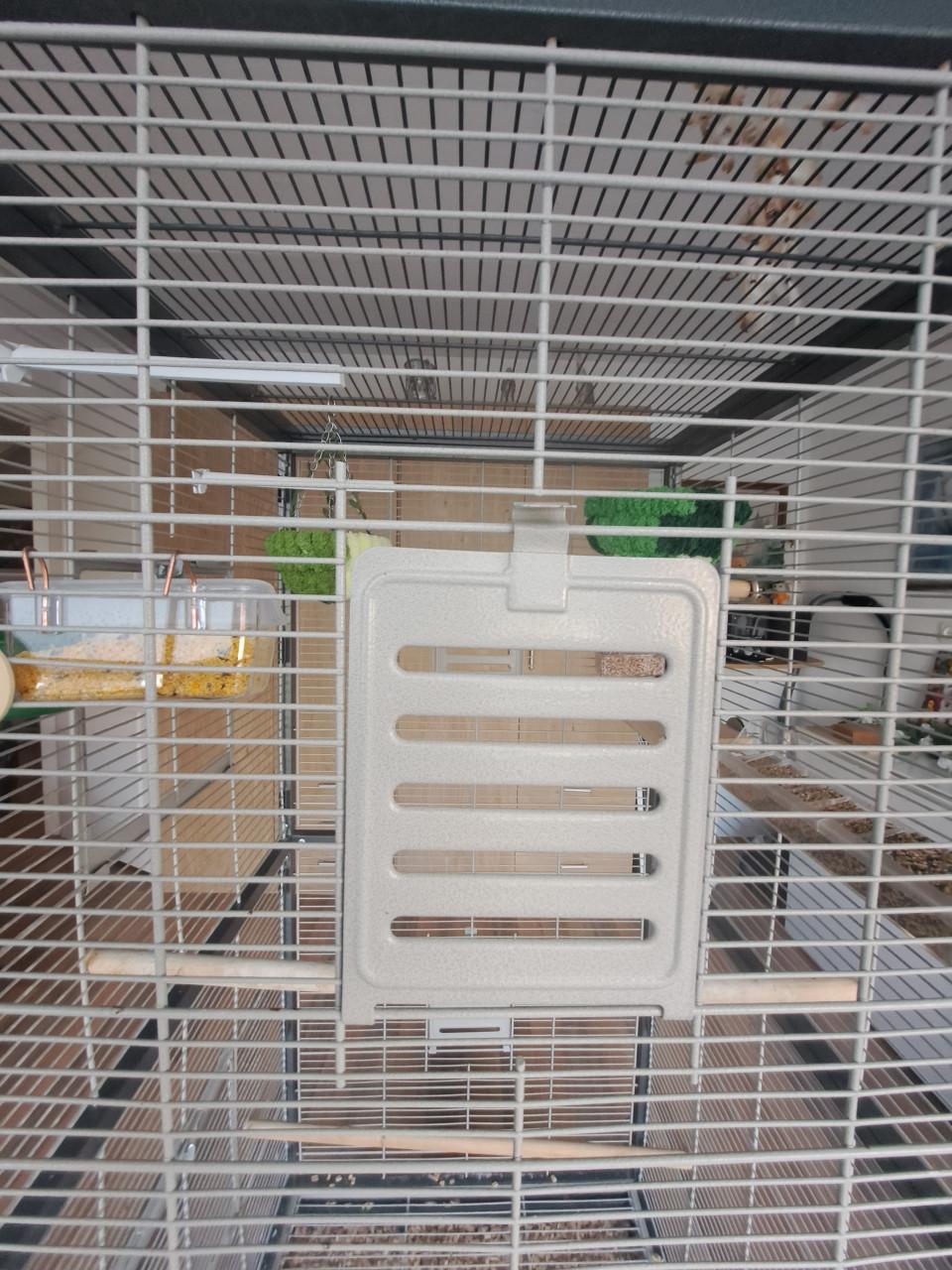 Vogelkooi / Voliére