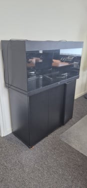 JUWEL Aquarium Rio LED zwart 180