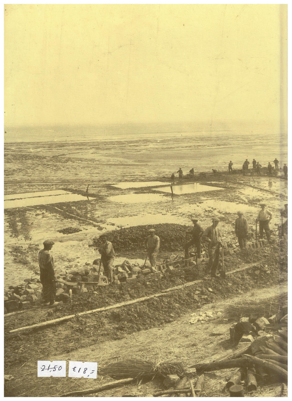 Terneuzen - Sluiskil - Zaamslag van 1900 tot nu