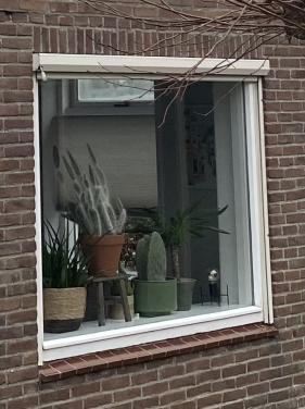 Zonnescherm / screen